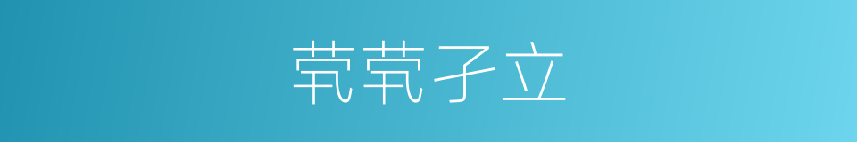 茕茕孑立的意思