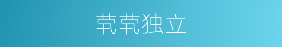 茕茕独立的意思