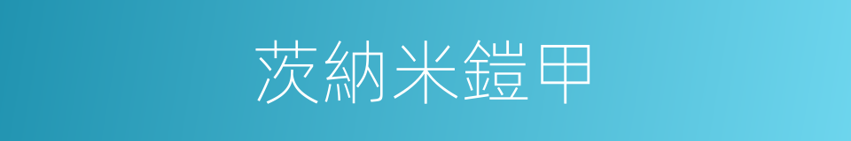 茨納米鎧甲的同義詞