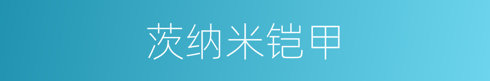 茨纳米铠甲的同义词