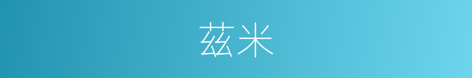 茲米的意思