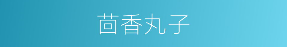 茴香丸子的同义词