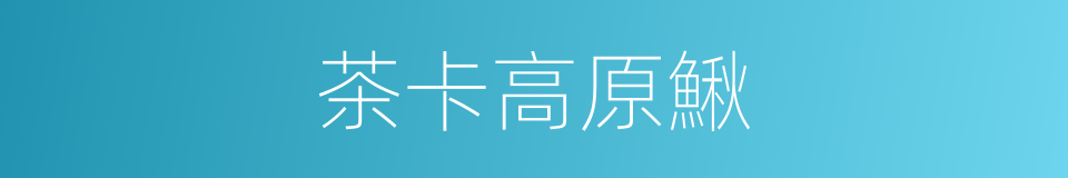 茶卡高原鰍的同義詞