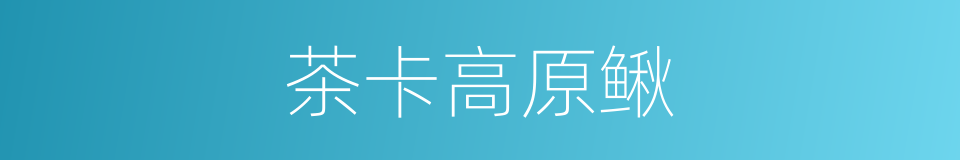 茶卡高原鳅的同义词
