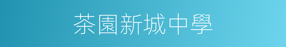 茶園新城中學的同義詞