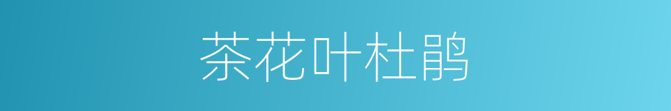 茶花叶杜鹃的同义词