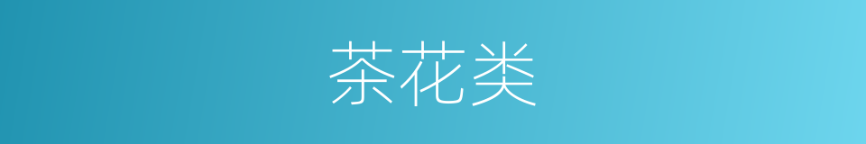 茶花类的同义词