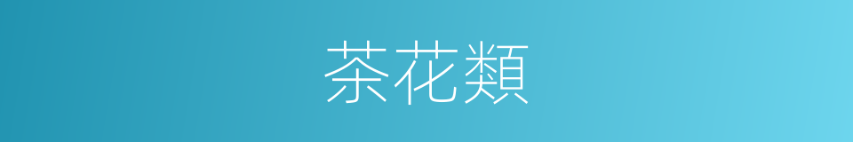 茶花類的同義詞