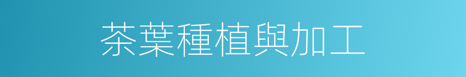 茶葉種植與加工的同義詞