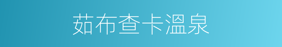 茹布查卡溫泉的同義詞
