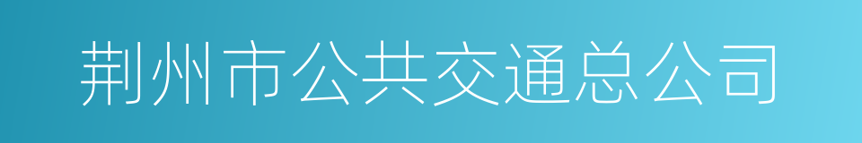 荆州市公共交通总公司的同义词