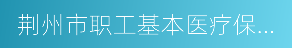 荆州市职工基本医疗保险实施办法的同义词