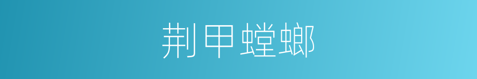 荆甲螳螂的同义词