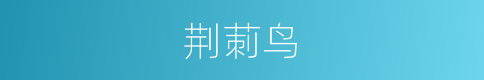荆莿鸟的同义词