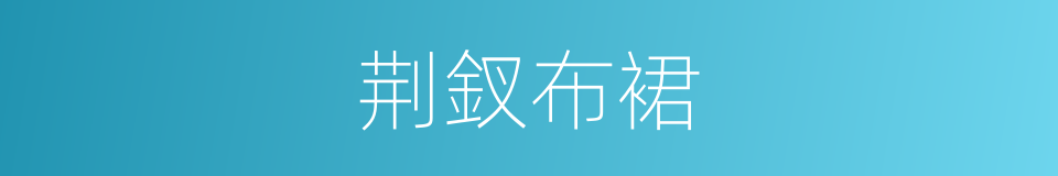 荆釵布裙的同義詞