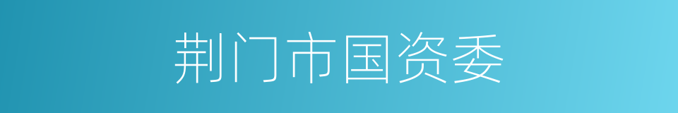 荆门市国资委的同义词