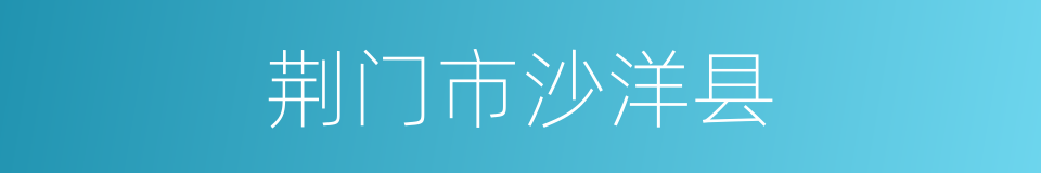 荆门市沙洋县的同义词
