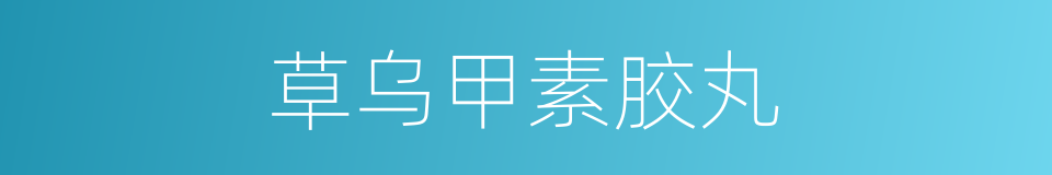 草乌甲素胶丸的同义词