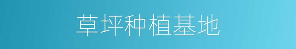 草坪种植基地的同义词