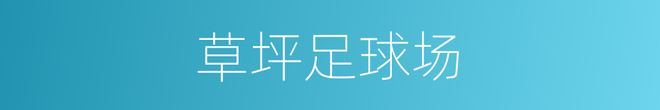 草坪足球场的同义词
