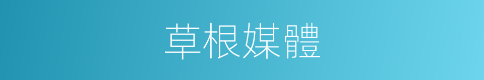 草根媒體的同義詞