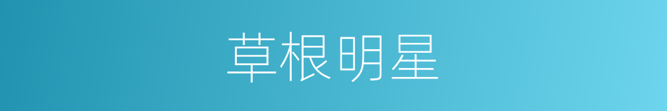 草根明星的同义词