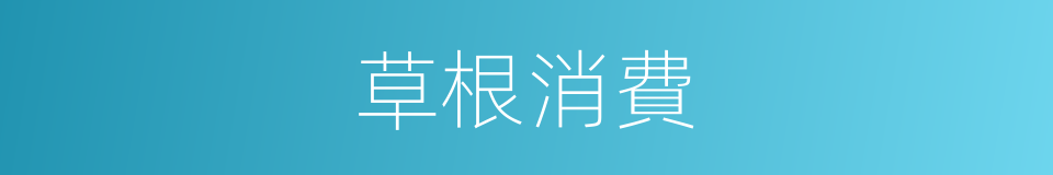 草根消費的同義詞