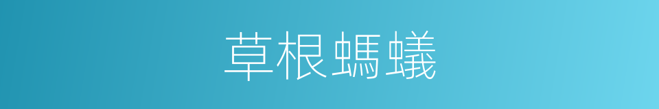 草根螞蟻的同義詞