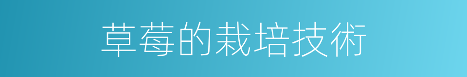 草莓的栽培技術的同義詞