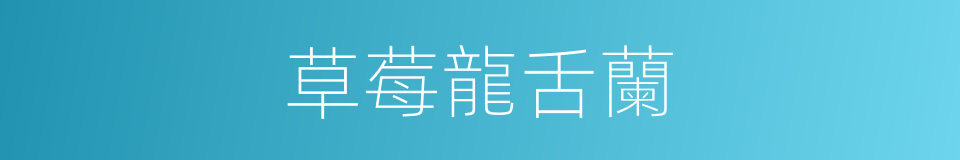 草莓龍舌蘭的同義詞
