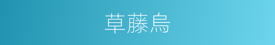 草藤烏的同義詞
