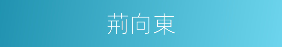荊向東的同義詞