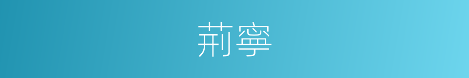 荊寧的同義詞