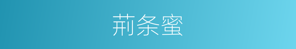 荊条蜜的同義詞