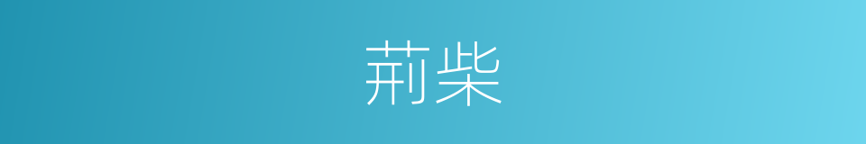 荊柴的意思