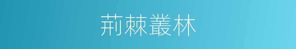 荊棘叢林的同義詞