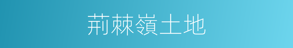 荊棘嶺土地的同義詞