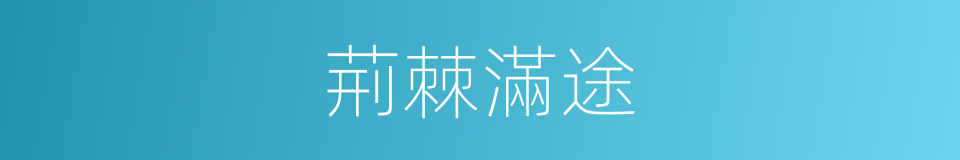 荊棘滿途的意思