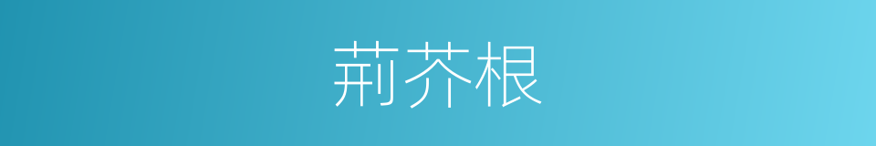 荊芥根的同義詞