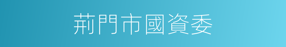 荊門市國資委的同義詞