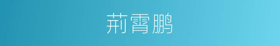 荊霄鹏的同義詞