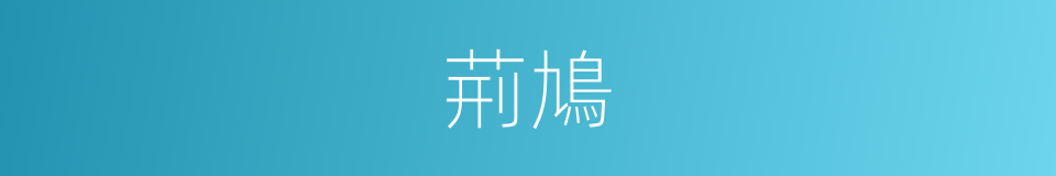 荊鳩的意思