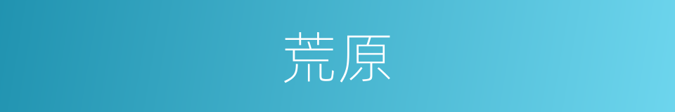 荒原的意思