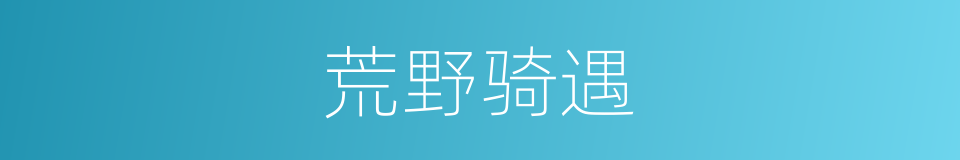 荒野骑遇的同义词