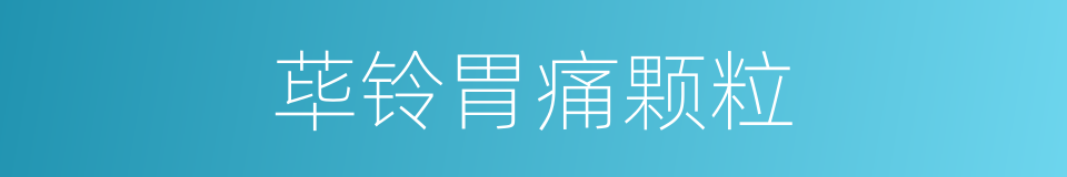 荜铃胃痛颗粒的同义词
