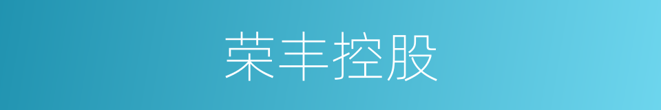 荣丰控股的同义词