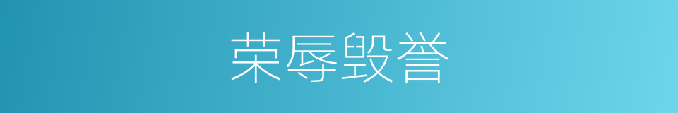 荣辱毁誉的同义词