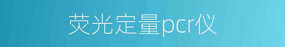 荧光定量pcr仪的同义词