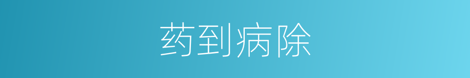 药到病除的意思