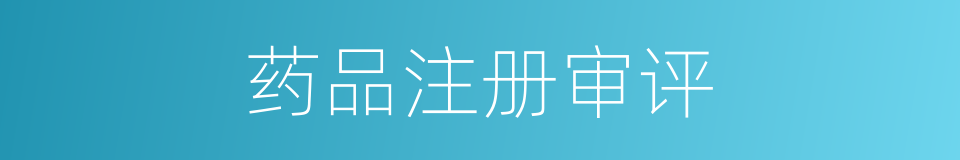 药品注册审评的同义词